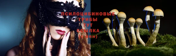 круглые Алексеевка