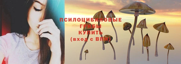 круглые Алексеевка