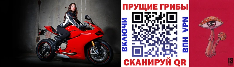 Галлюциногенные грибы Magic Shrooms купить закладку Сольвычегодск